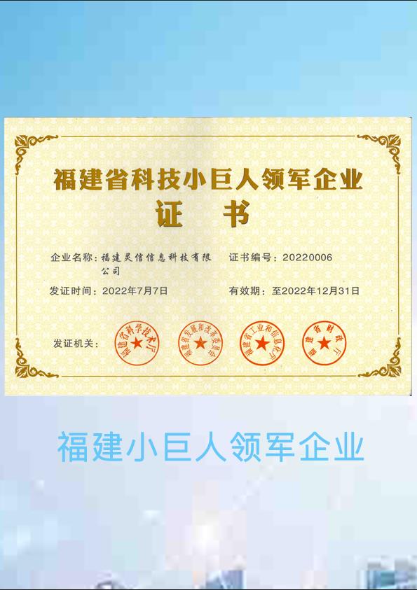 福建科技幼巨人